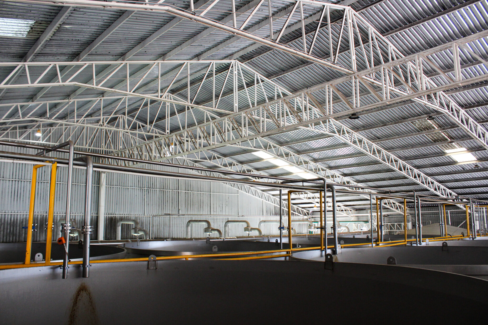 Fermentacion y destilacion-1