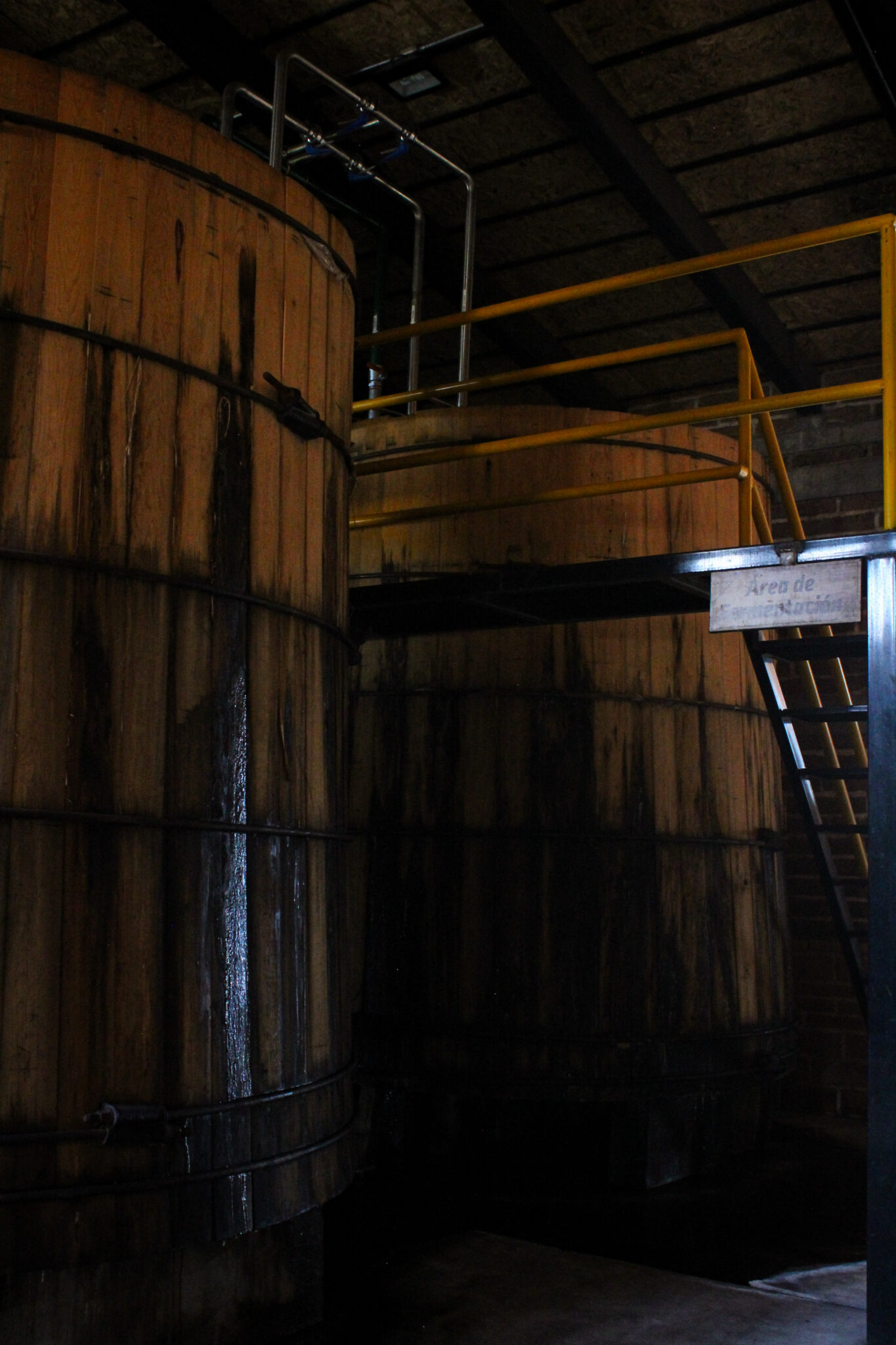 Fermentacion y destilacion-10