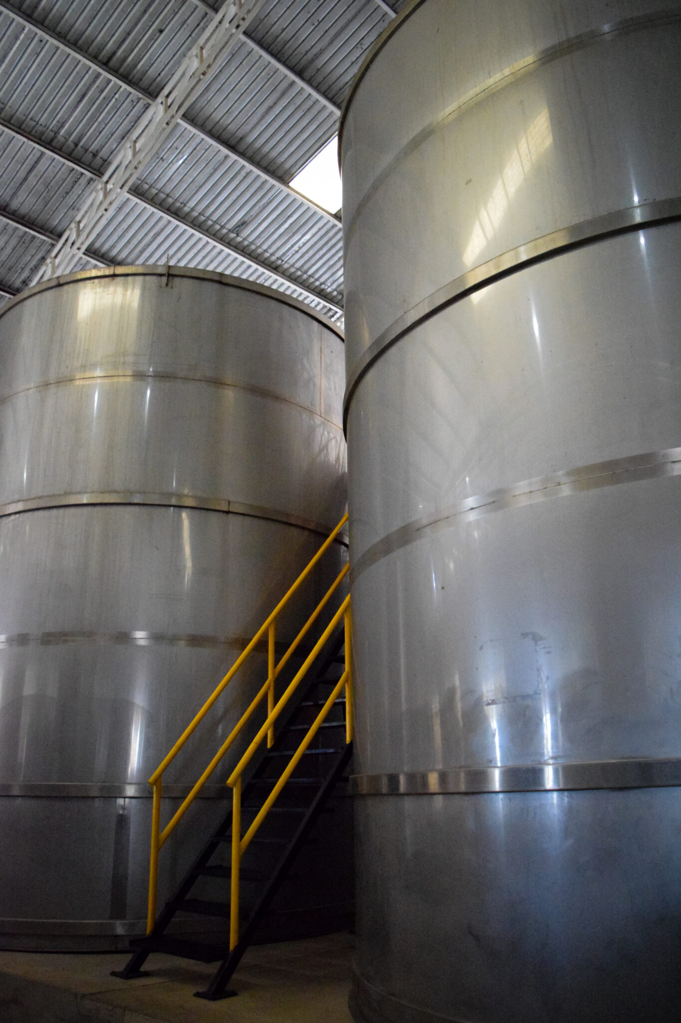 Fermentacion y destilacion-11