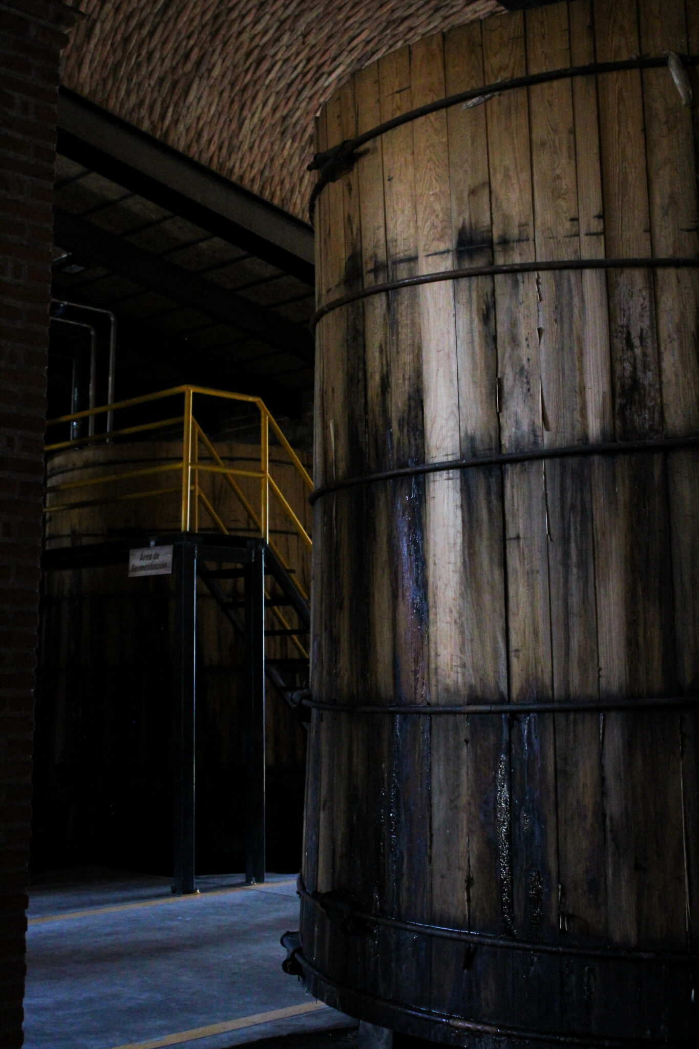 Fermentacion y destilacion-12