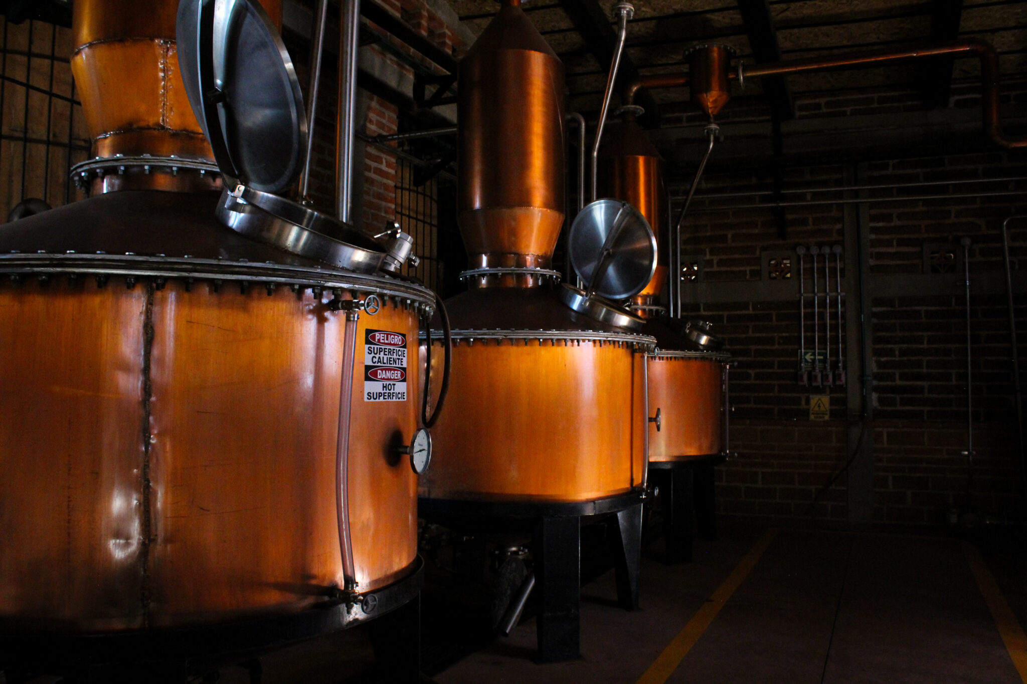 Fermentacion y destilacion-4