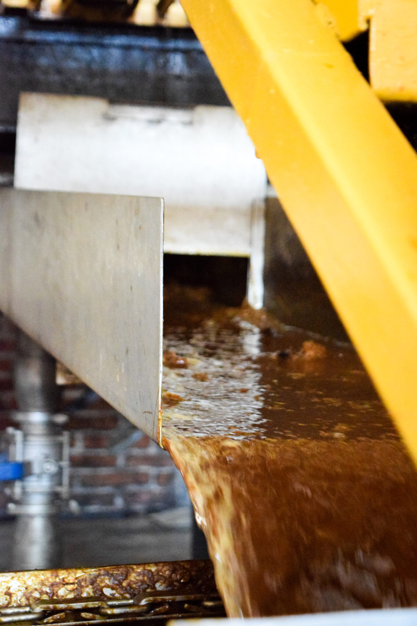 Fermentacion y destilacion-7