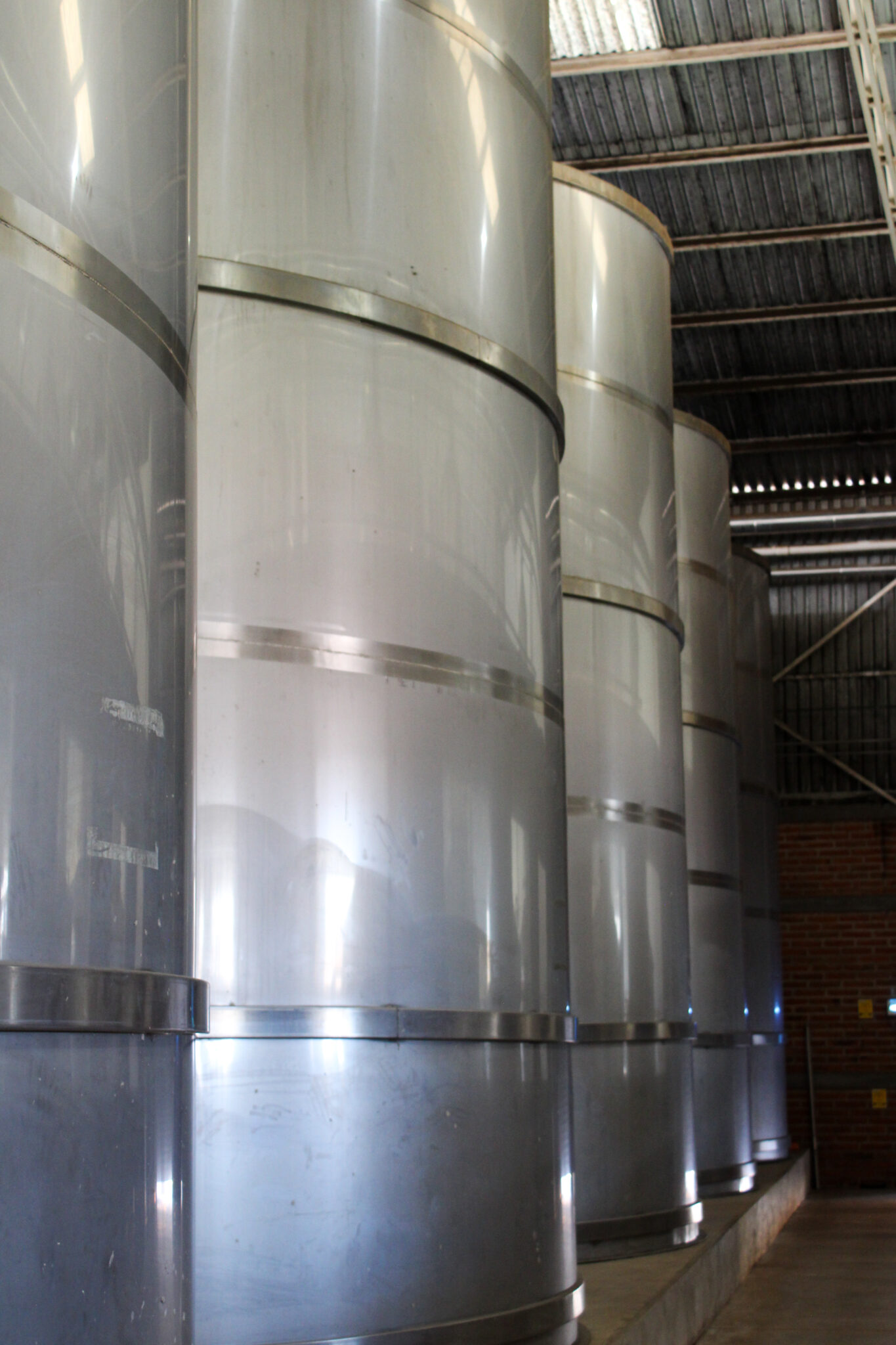 Fermentacion y destilacion-9