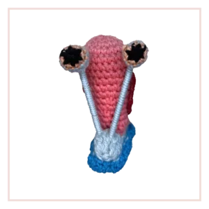 Gary
