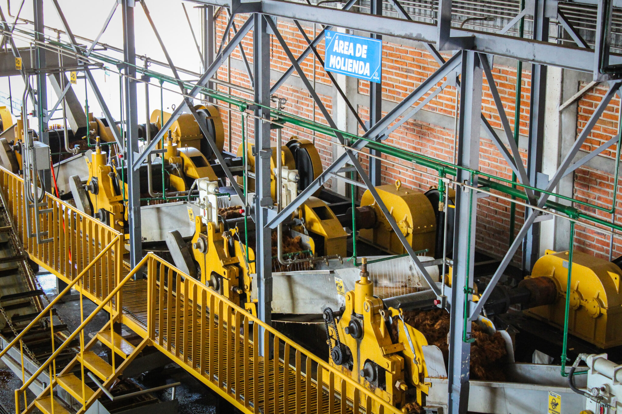 Molienda-2