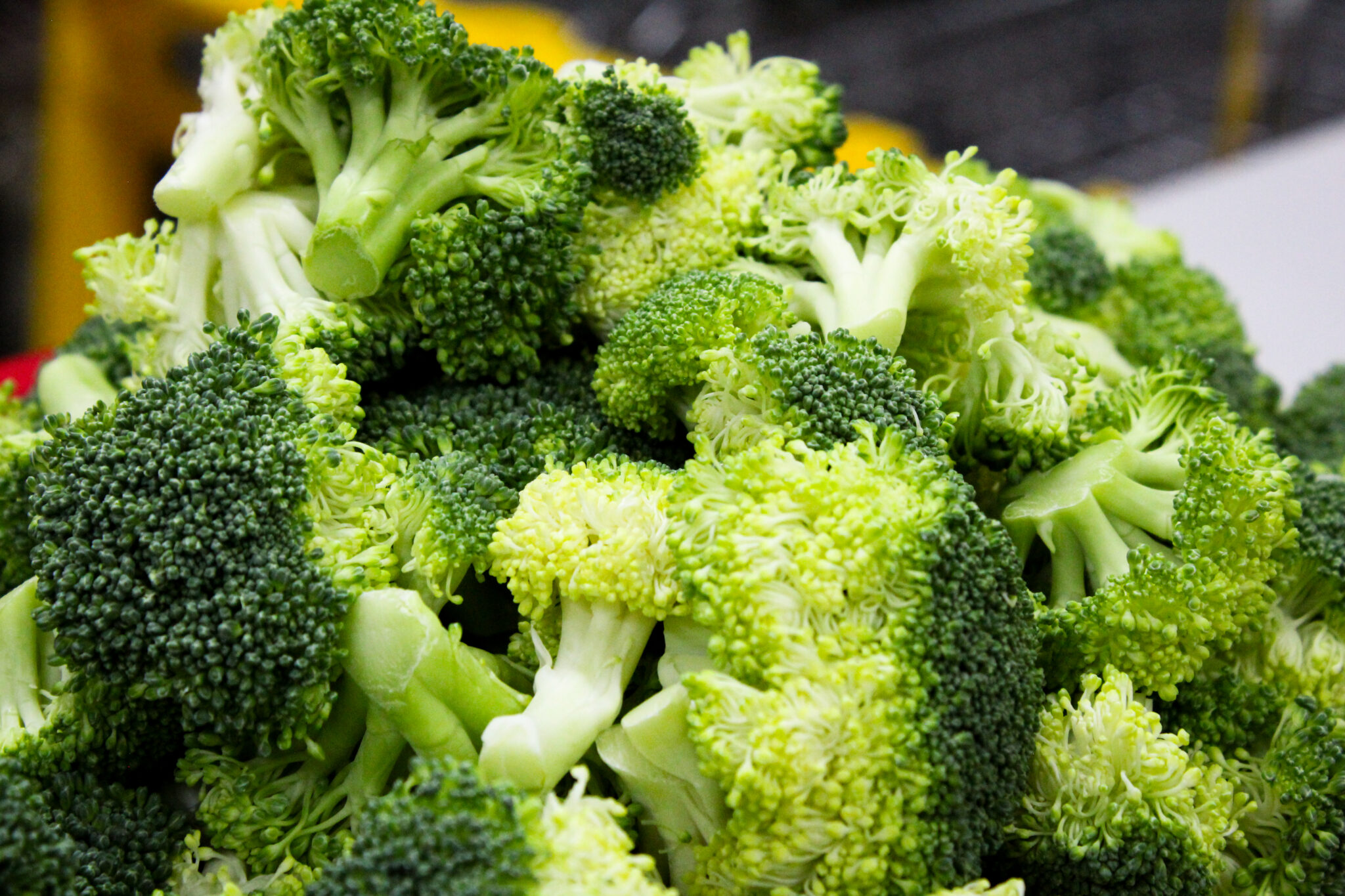 Vegetales e Ingredientes-3