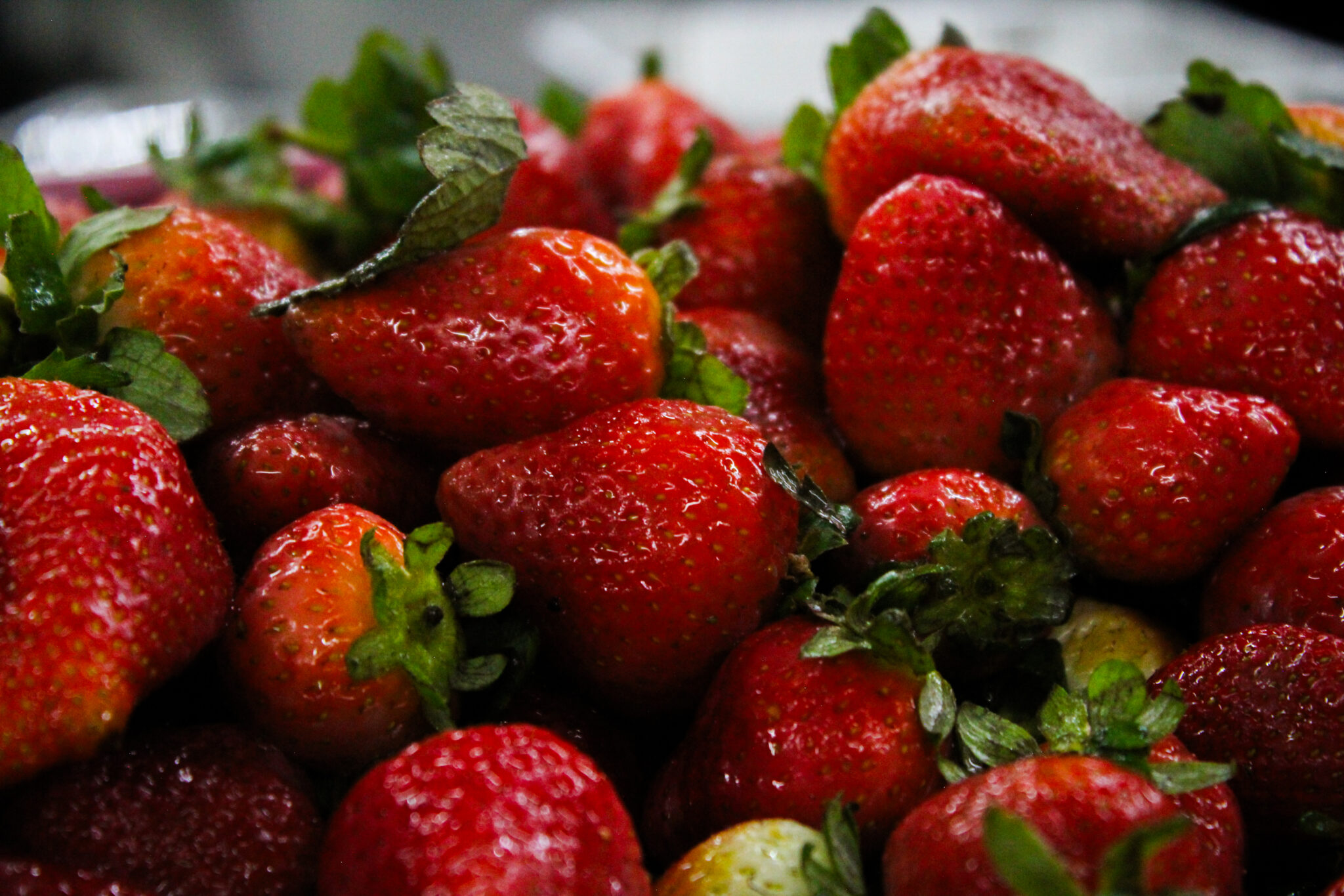 Vegetales e Ingredientes-5